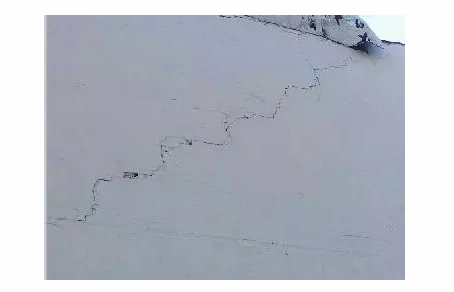 房屋渗水?铂英特液体卷材帮到您! 房屋渗水?铂英特液体卷材帮到您!