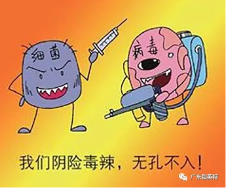 抗菌防霉，认准铂英特无机智能涂料