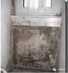 抗菌防霉，认准铂英特无机智能涂料