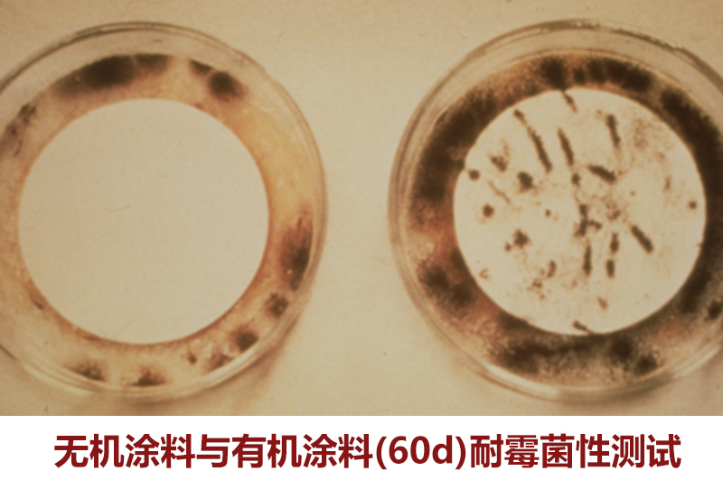 地下室专用的防霉防潮无机涂料